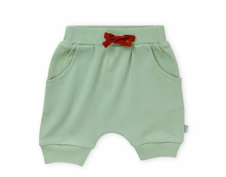 Brand new ✨ Finn + Emma Sale Animal Kingdom Celadon Green Shorts 💯 3 Finn + Emma Sale Animal Kingdom Celadon Green Shorts